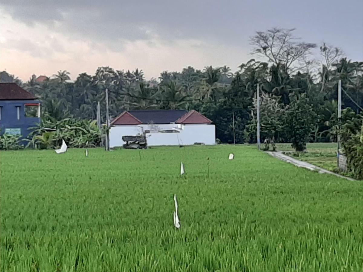 The Satya Villa Ubud  Exterior photo